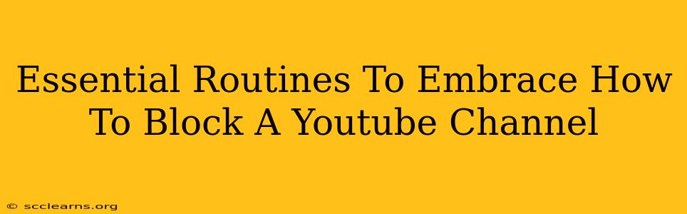 Essential Routines To Embrace How To Block A Youtube Channel