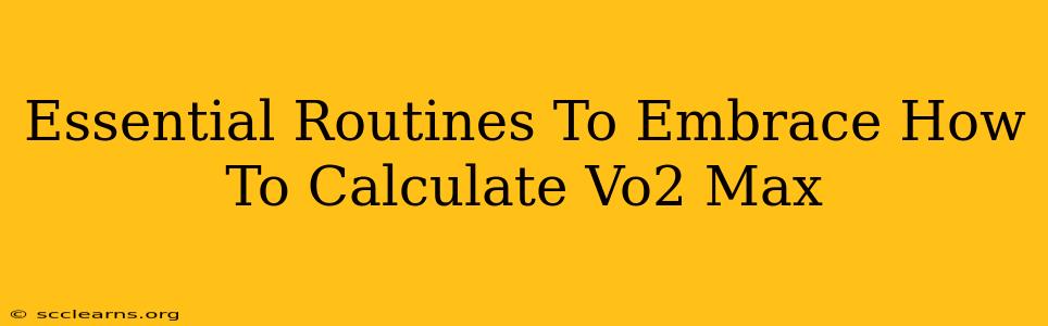 Essential Routines To Embrace How To Calculate Vo2 Max