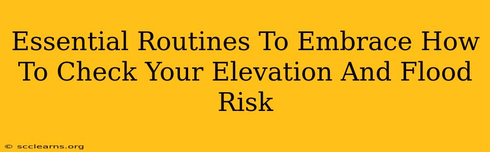 Essential Routines To Embrace How To Check Your Elevation And Flood Risk