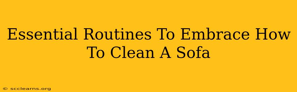 Essential Routines To Embrace How To Clean A Sofa