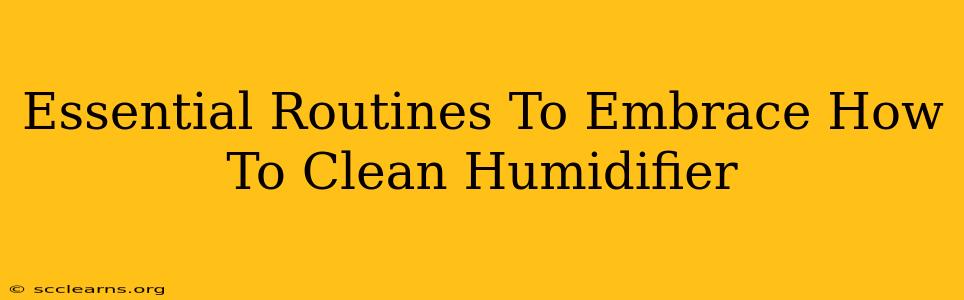 Essential Routines To Embrace How To Clean Humidifier