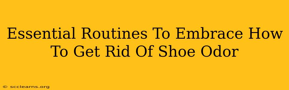 Essential Routines To Embrace How To Get Rid Of Shoe Odor