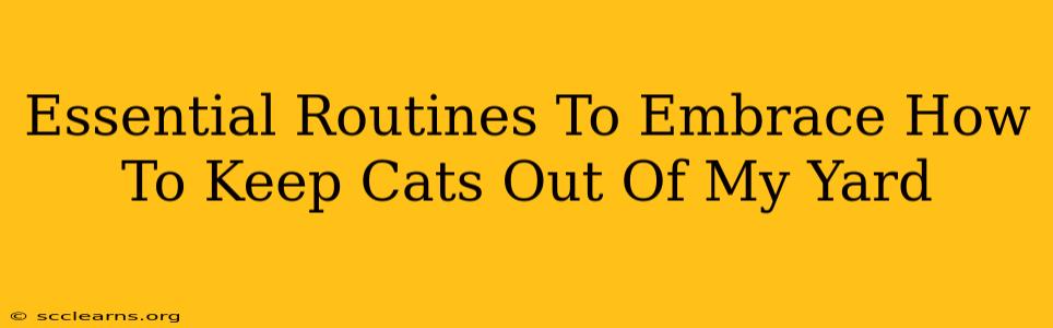 Essential Routines To Embrace How To Keep Cats Out Of My Yard