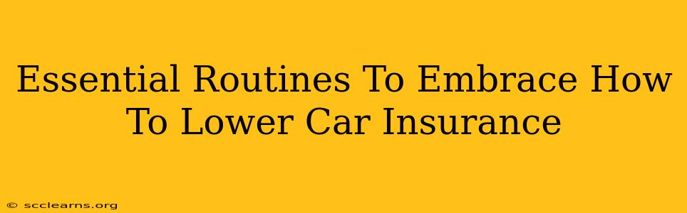 Essential Routines To Embrace How To Lower Car Insurance