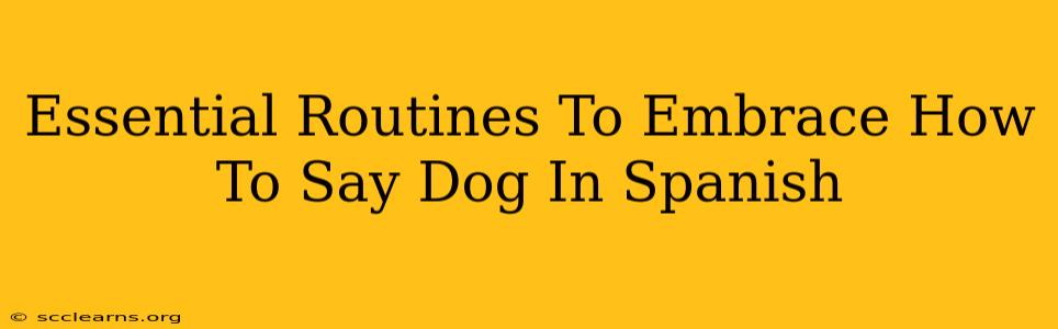 Essential Routines To Embrace How To Say Dog In Spanish