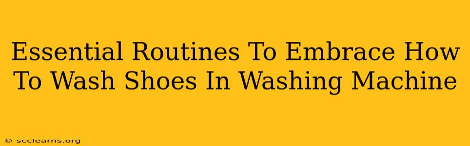 Essential Routines To Embrace How To Wash Shoes In Washing Machine