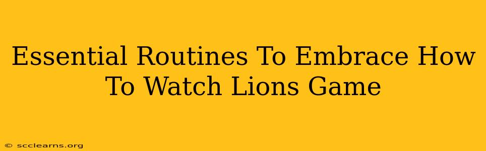 Essential Routines To Embrace How To Watch Lions Game