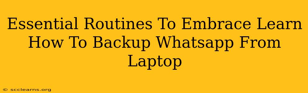 Essential Routines To Embrace Learn How To Backup Whatsapp From Laptop