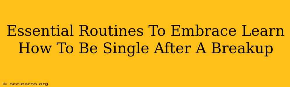 Essential Routines To Embrace Learn How To Be Single After A Breakup