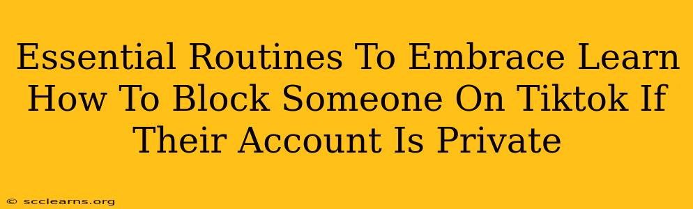 Essential Routines To Embrace Learn How To Block Someone On Tiktok If Their Account Is Private