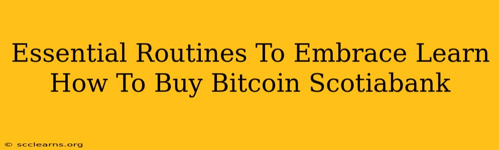 Essential Routines To Embrace Learn How To Buy Bitcoin Scotiabank