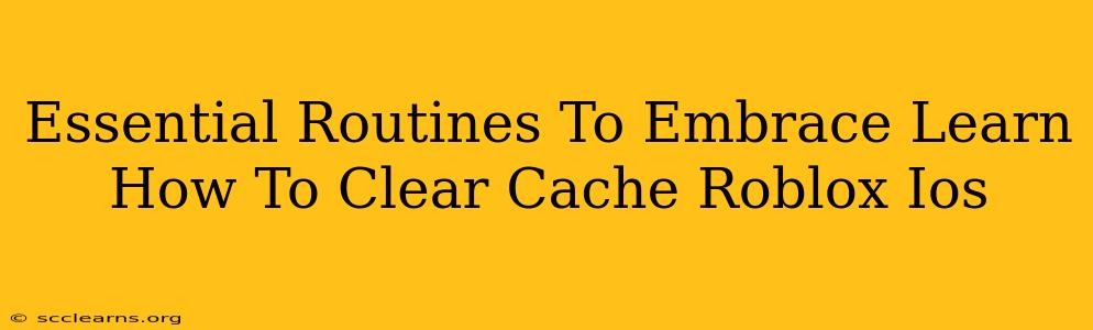 Essential Routines To Embrace Learn How To Clear Cache Roblox Ios