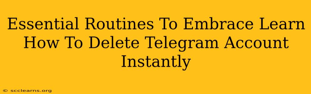 Essential Routines To Embrace Learn How To Delete Telegram Account Instantly