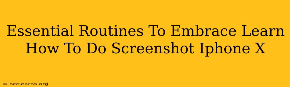 Essential Routines To Embrace Learn How To Do Screenshot Iphone X