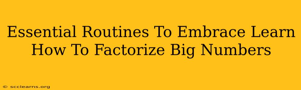 Essential Routines To Embrace Learn How To Factorize Big Numbers