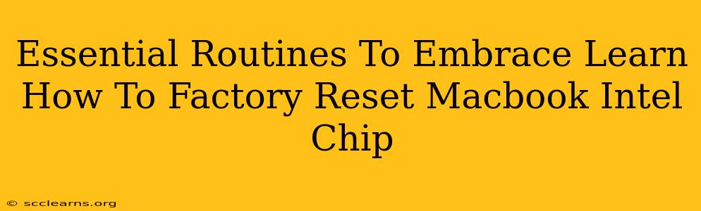 Essential Routines To Embrace Learn How To Factory Reset Macbook Intel Chip