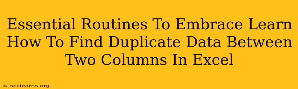 Essential Routines To Embrace Learn How To Find Duplicate Data Between Two Columns In Excel