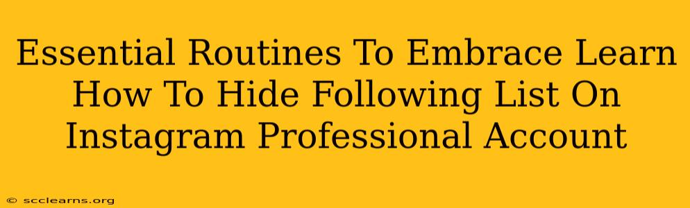 Essential Routines To Embrace Learn How To Hide Following List On Instagram Professional Account