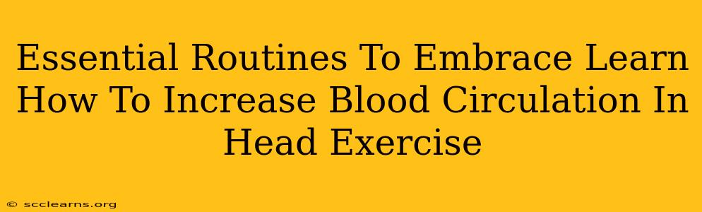 Essential Routines To Embrace Learn How To Increase Blood Circulation In Head Exercise