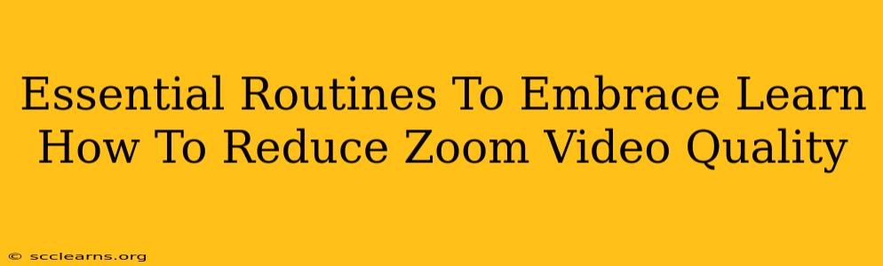 Essential Routines To Embrace Learn How To Reduce Zoom Video Quality