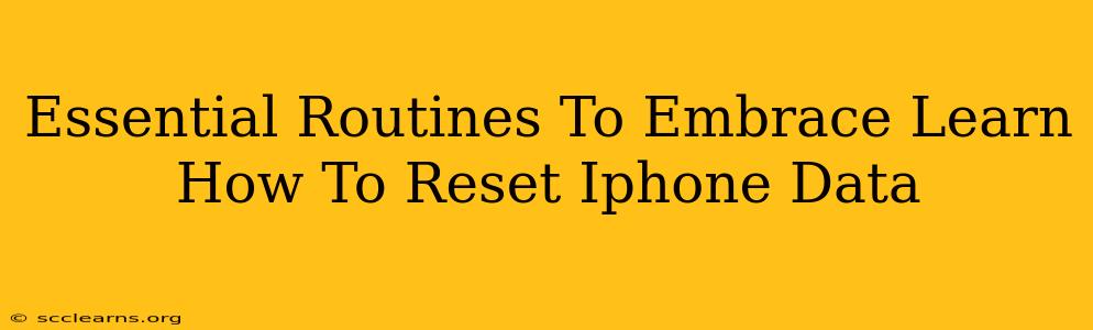 Essential Routines To Embrace Learn How To Reset Iphone Data