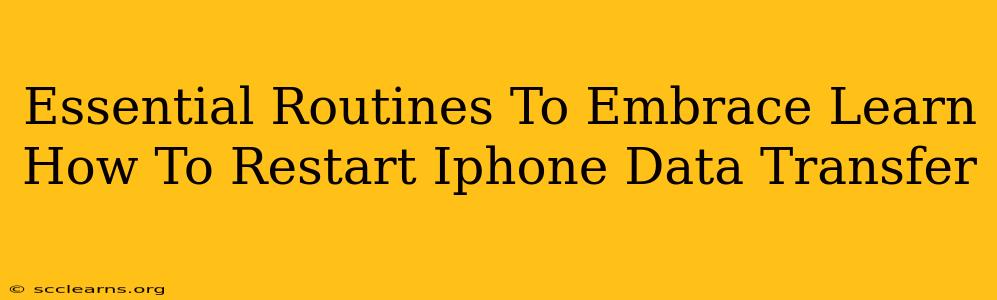 Essential Routines To Embrace Learn How To Restart Iphone Data Transfer