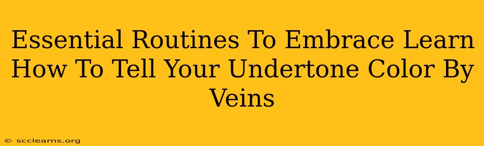 Essential Routines To Embrace Learn How To Tell Your Undertone Color By Veins