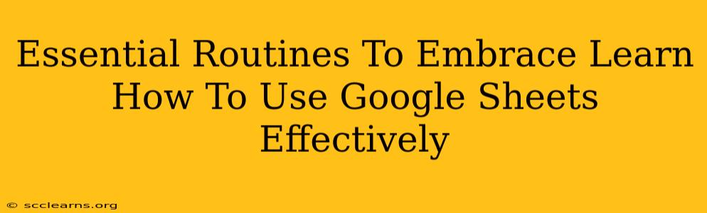 Essential Routines To Embrace Learn How To Use Google Sheets Effectively