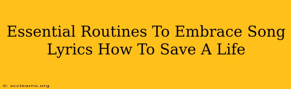 Essential Routines To Embrace Song Lyrics How To Save A Life