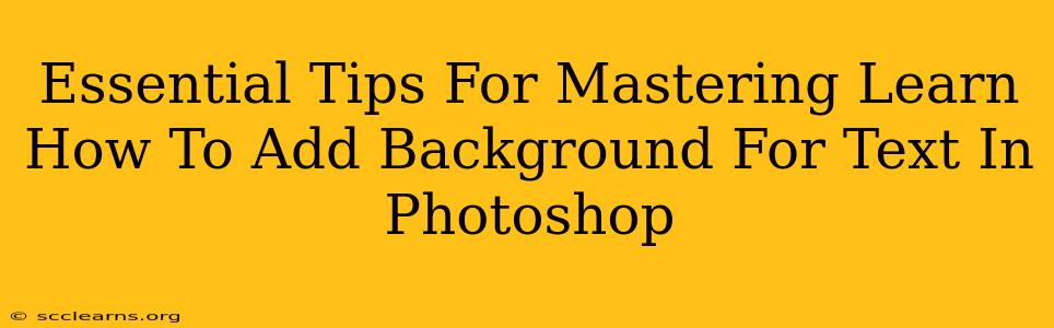 Essential Tips For Mastering Learn How To Add Background For Text In Photoshop