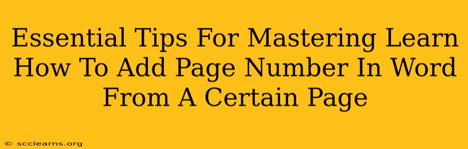 Essential Tips For Mastering Learn How To Add Page Number In Word From A Certain Page