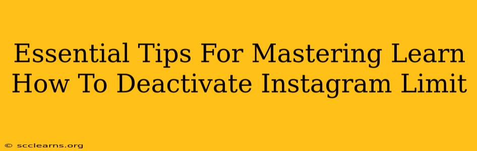 Essential Tips For Mastering Learn How To Deactivate Instagram Limit