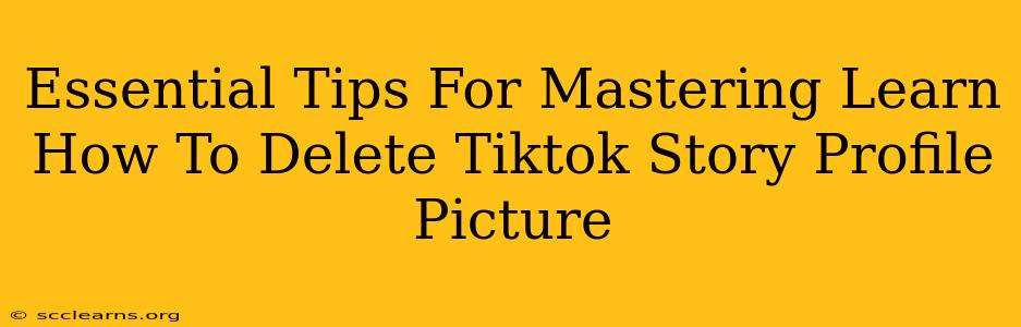 Essential Tips For Mastering Learn How To Delete Tiktok Story Profile Picture