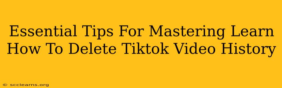 Essential Tips For Mastering Learn How To Delete Tiktok Video History