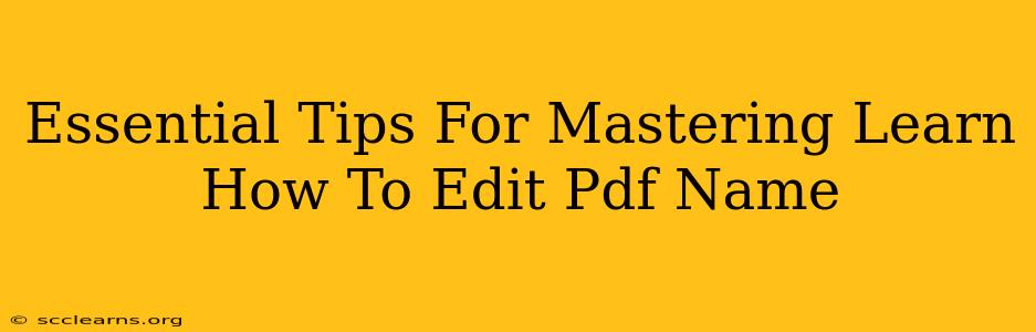 Essential Tips For Mastering Learn How To Edit Pdf Name