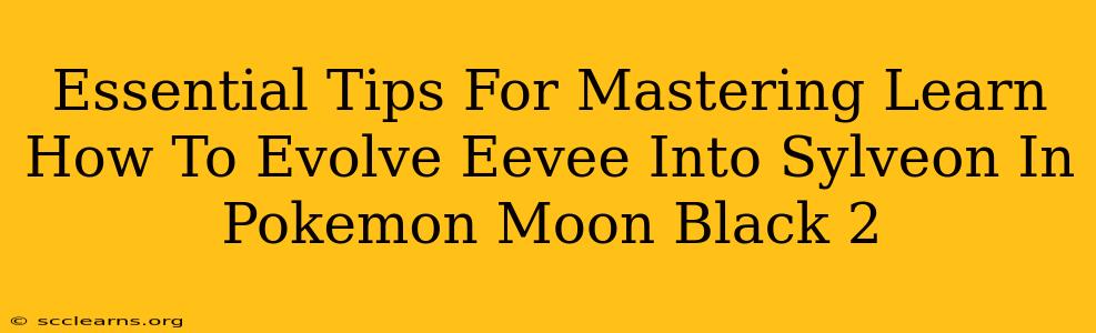 Essential Tips For Mastering Learn How To Evolve Eevee Into Sylveon In Pokemon Moon Black 2