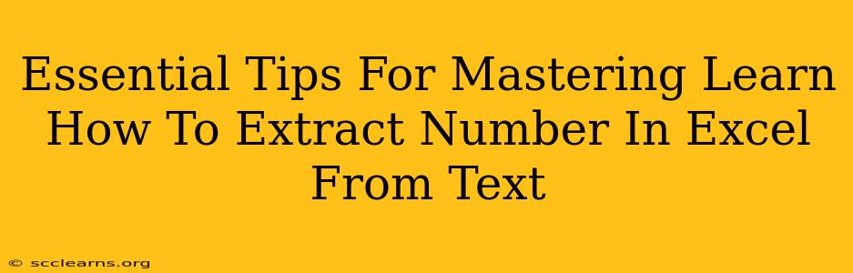 Essential Tips For Mastering Learn How To Extract Number In Excel From Text