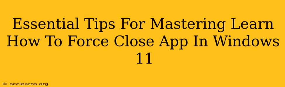 Essential Tips For Mastering Learn How To Force Close App In Windows 11