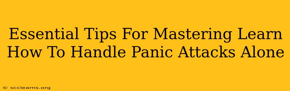 Essential Tips For Mastering Learn How To Handle Panic Attacks Alone