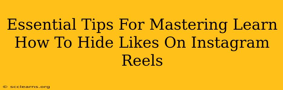 Essential Tips For Mastering Learn How To Hide Likes On Instagram Reels