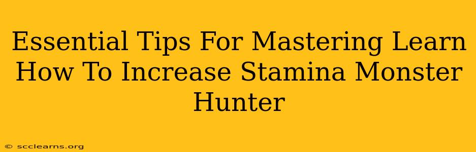 Essential Tips For Mastering Learn How To Increase Stamina Monster Hunter