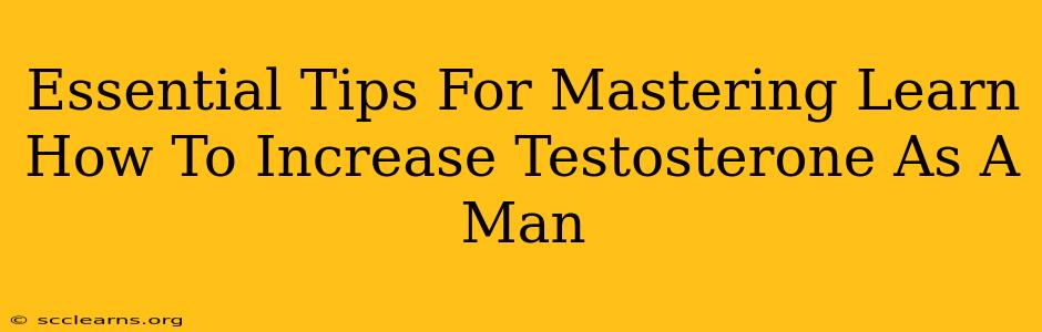 Essential Tips For Mastering Learn How To Increase Testosterone As A Man