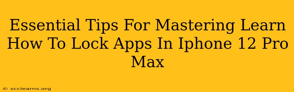 Essential Tips For Mastering Learn How To Lock Apps In Iphone 12 Pro Max