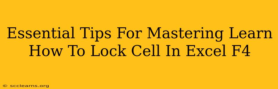 Essential Tips For Mastering Learn How To Lock Cell In Excel F4