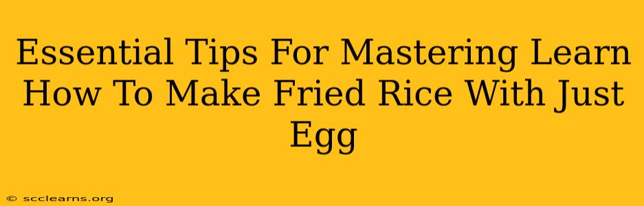 Essential Tips For Mastering Learn How To Make Fried Rice With Just Egg