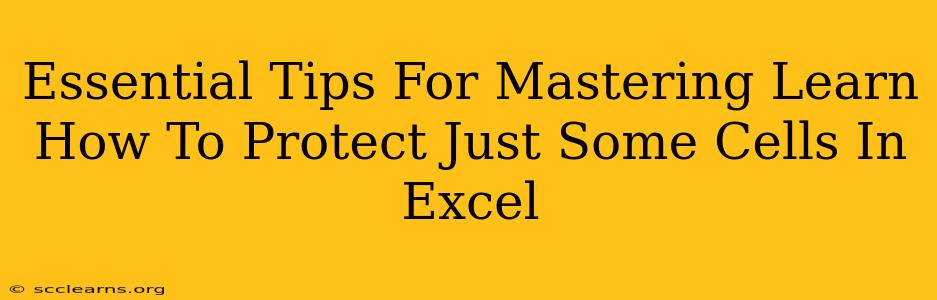 Essential Tips For Mastering Learn How To Protect Just Some Cells In Excel