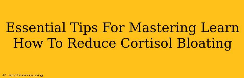 Essential Tips For Mastering Learn How To Reduce Cortisol Bloating