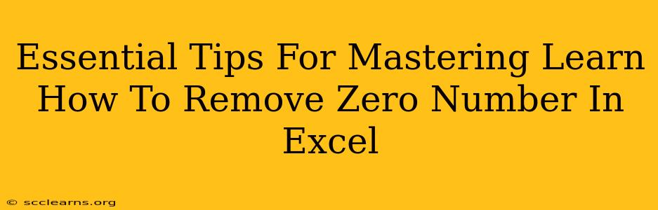 Essential Tips For Mastering Learn How To Remove Zero Number In Excel