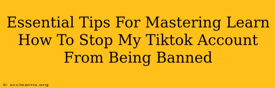 Essential Tips For Mastering Learn How To Stop My Tiktok Account From Being Banned