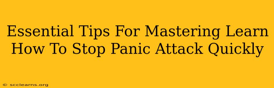 Essential Tips For Mastering Learn How To Stop Panic Attack Quickly